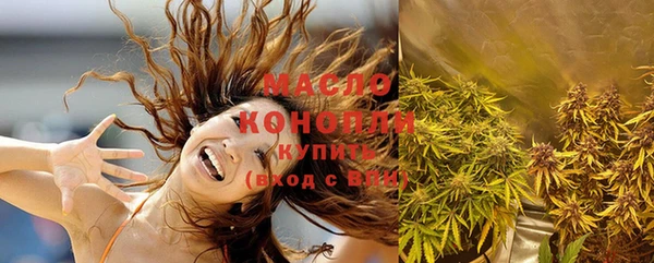 твердый Новозыбков